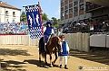 VBS_0903 - Palio di Asti 2024